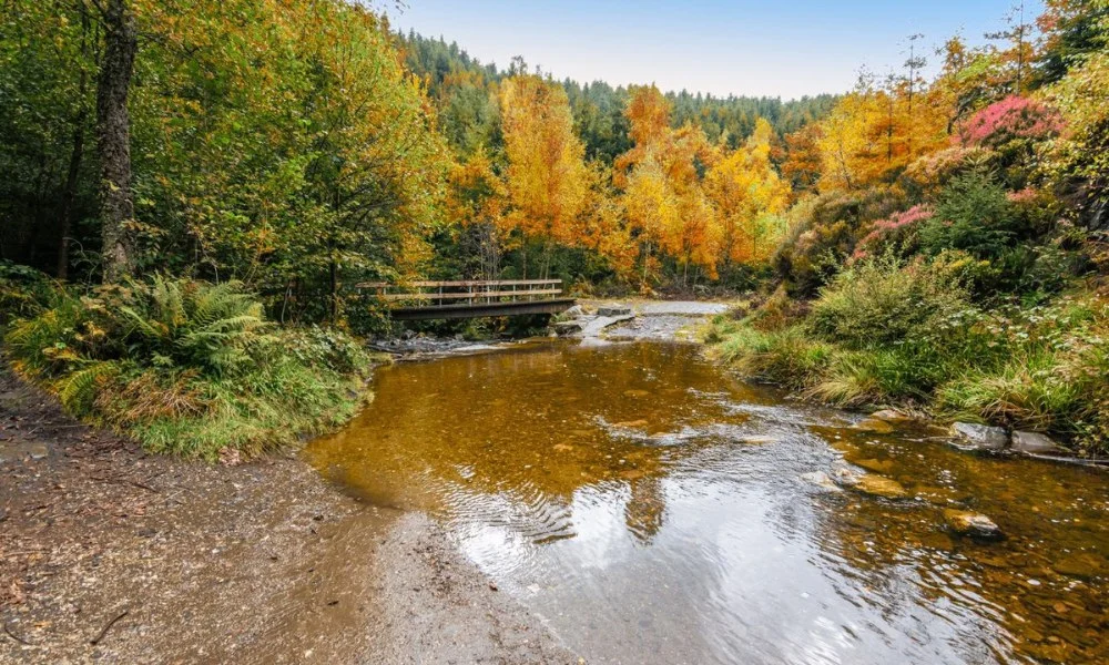 Die besten Orte zum Übernachten in den Ardennen