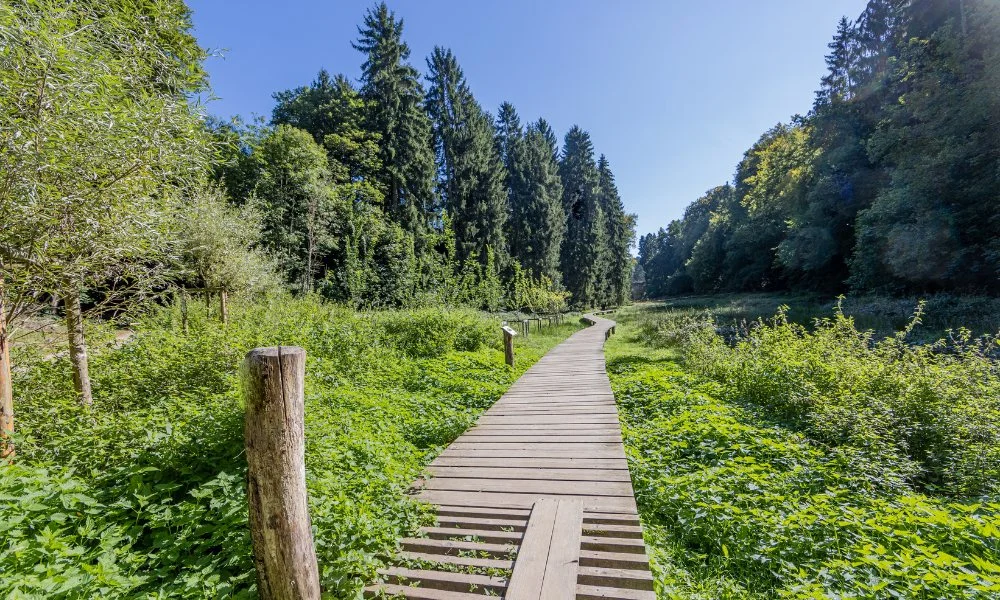 Unterkunfte in Waldbillig Mullerthal Luxemburg